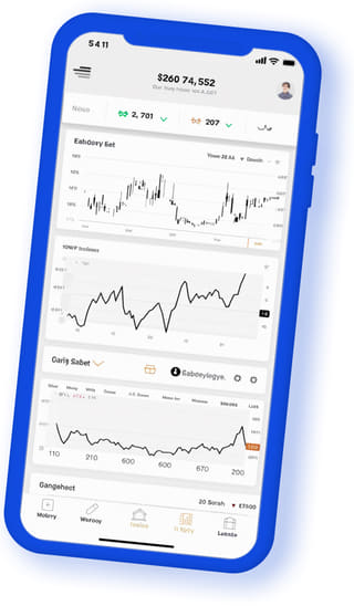 Konge Vinstek digital web application on mobile device